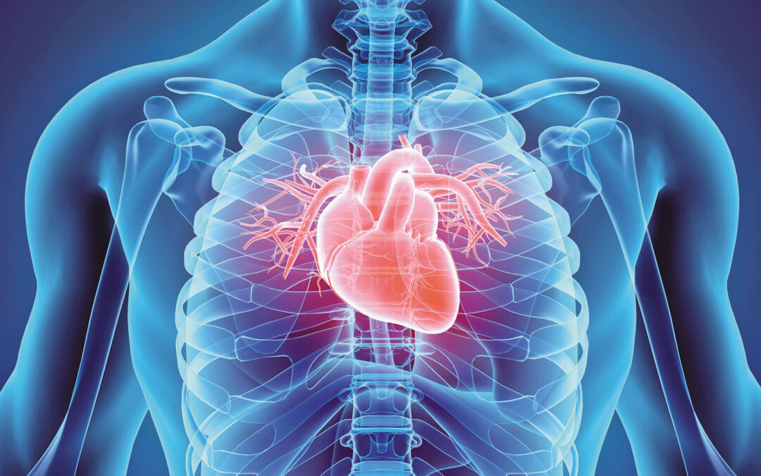 heart