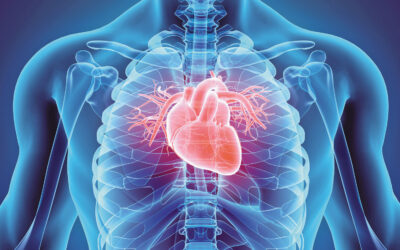 Inflammation vs. Your Heart: The Battle You Can’t Afford to Ignore